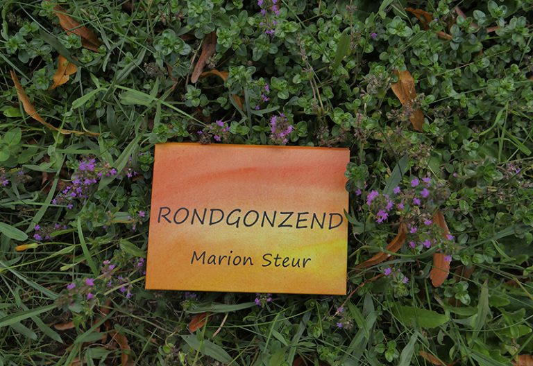 Rondgonzend