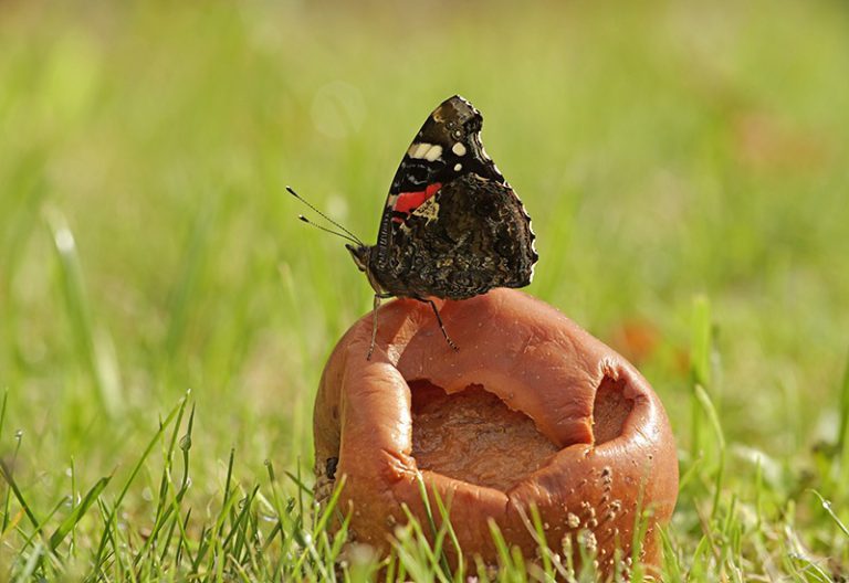 Foto van de maand september 2024